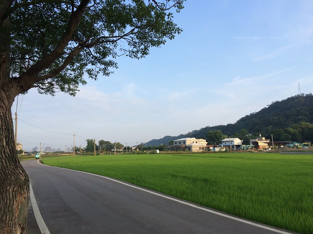 我的伯朗大道